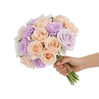Pastel Pink Roses
