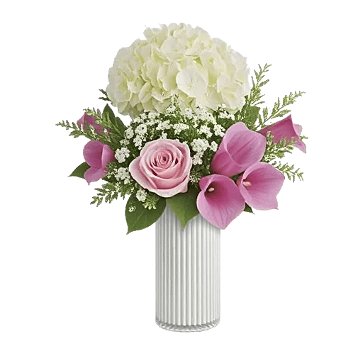 Ivory Blossom Radiance