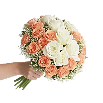 Blushing Rose Symphony