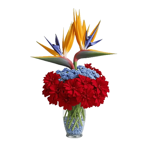 Petal Radiance Bliss