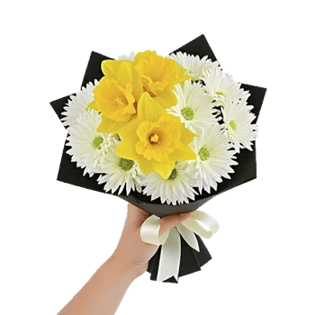 Blossom Harmony Display