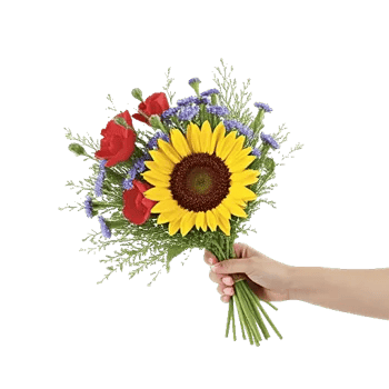 Twinkling Sunflower Dance