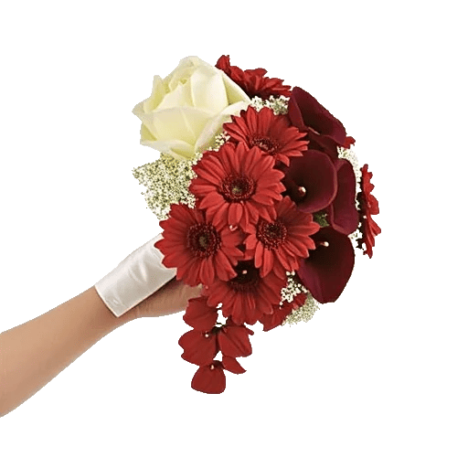 Delicate Petal Cascade