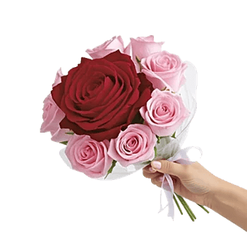 Crimson Rose Elegance