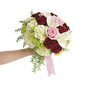 Delicate Petal Cascade