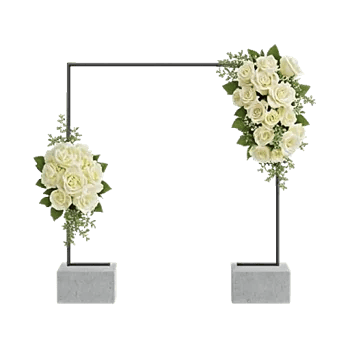 Modern White Orchids