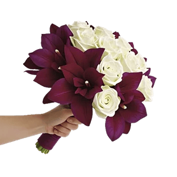 Blushing Rose Symphony