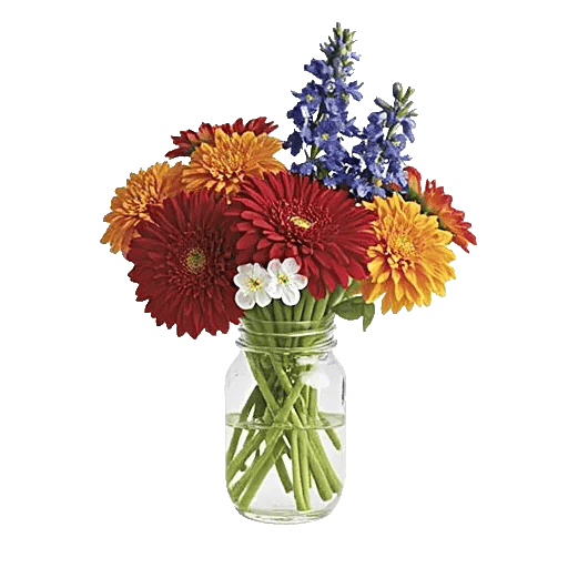 Petal Radiance Bliss