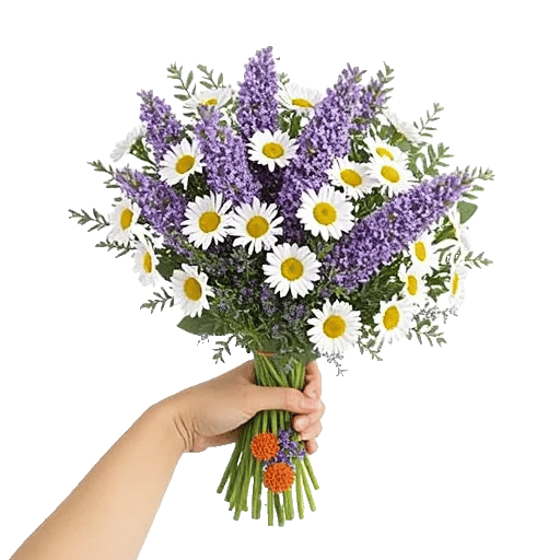 Rosemary Bloom Elegance
