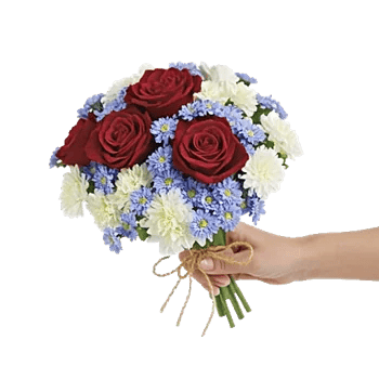 Crimson Rose Elegance