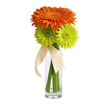 Petal Radiance Bliss