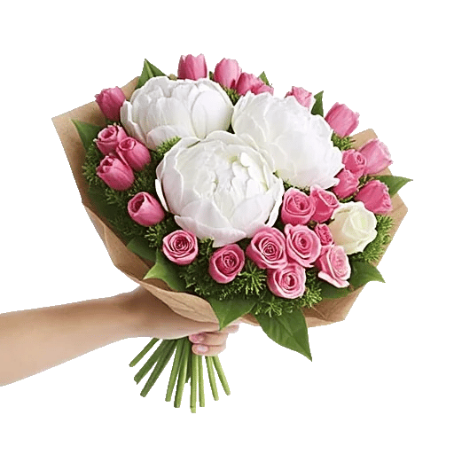 Peony Petal Harmony