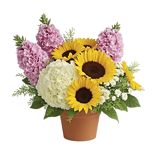 Amber Sunflower Glow