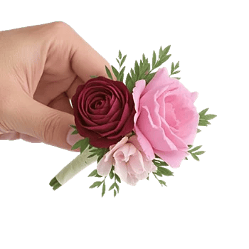 Plum Blossom Radiance