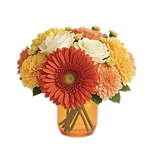 Petal Radiance Bliss