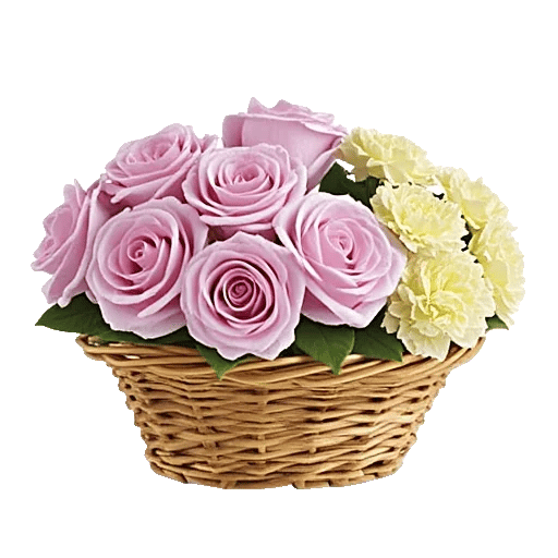 Rosemary Bloom Elegance