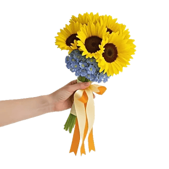 Twinkling Sunflower Dance