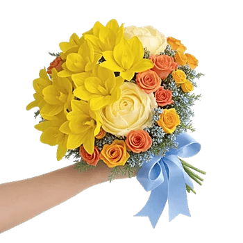 Blossom Harmony Display