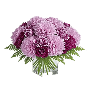 Petal Radiance Bliss