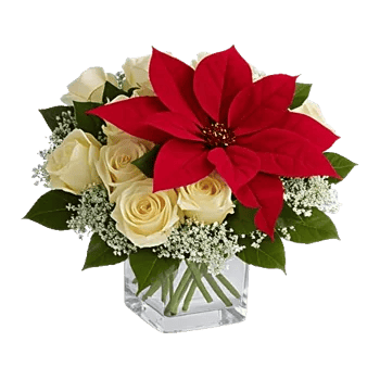 Crimson Rose Elegance