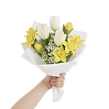 Blossom Harmony Display