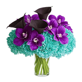 Elegant Calla Lilies