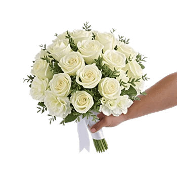 Ivory Garden Grace