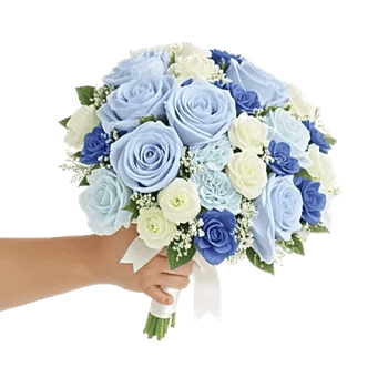 Serene Petal Harmony