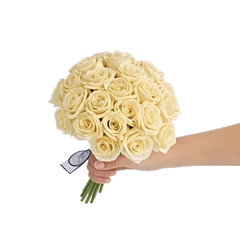 Delicate Petal Cascade