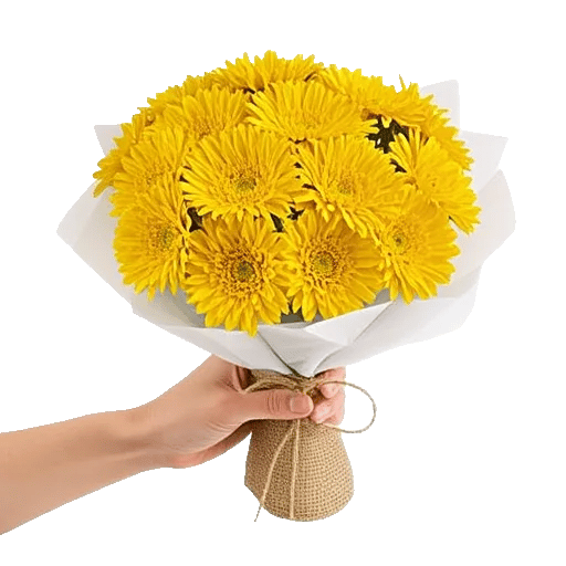 Golden Petal Harmony