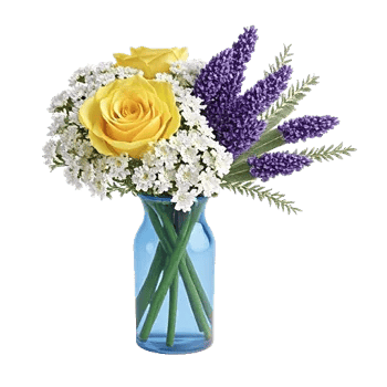 Rosemary Bloom Elegance