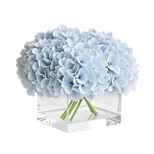 Sapphire Bloom Whisper