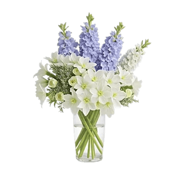 Ivory Blossom Radiance