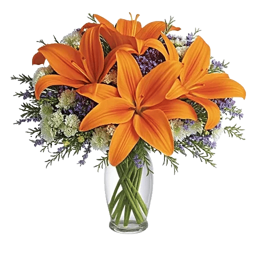 Blossom Glow Symphony