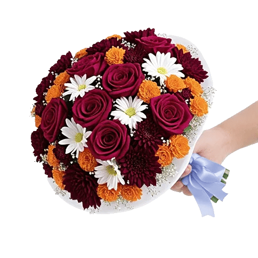 Blushing Rose Symphony