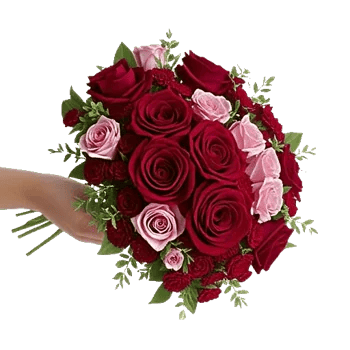 Crimson Rose Elegance