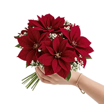 Crimson Rose Elegance