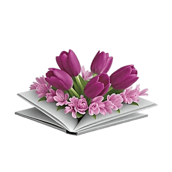 Velvet Tulip Display