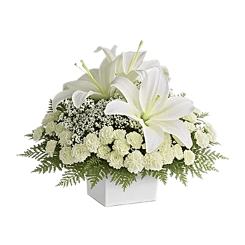 Graceful Lily Display