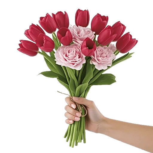 Scarlet Tulip Splendor