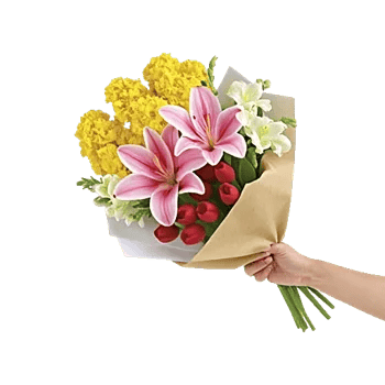 Blossom Harmony Display