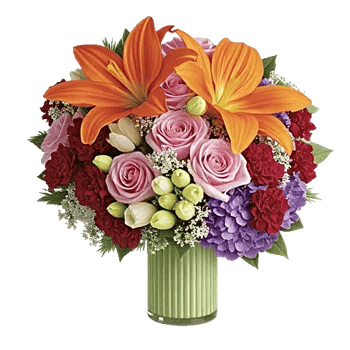Petal Radiance Bliss