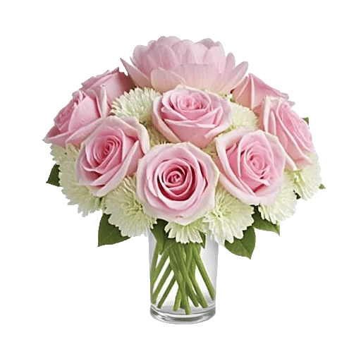 Petal Radiance Bliss