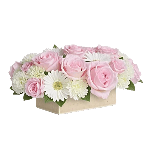 Delicate Petal Cascade