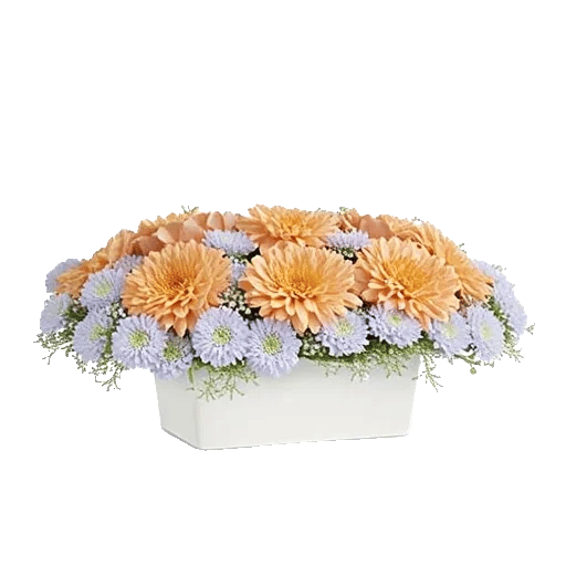 Delicate Petal Cascade