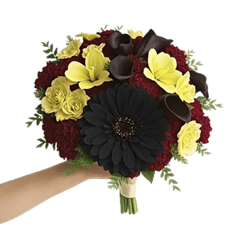 Elegant Calla Lilies