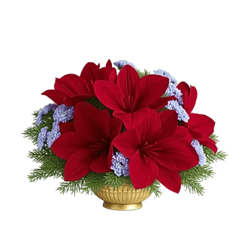 Crimson Blossom Harmony