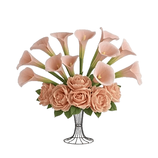 Elegant Calla Lilies