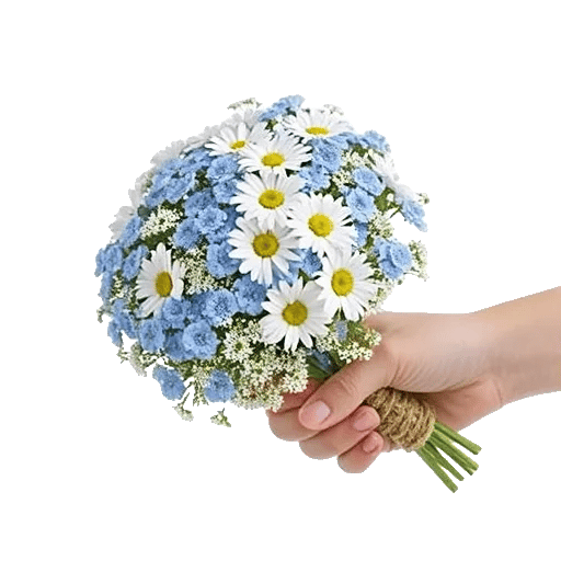 Blossom Petal Serenity