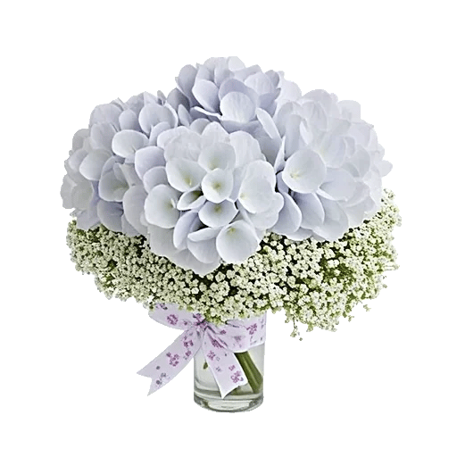 Ivory Blossom Radiance